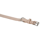 Leather Pet Collar Kit, Small