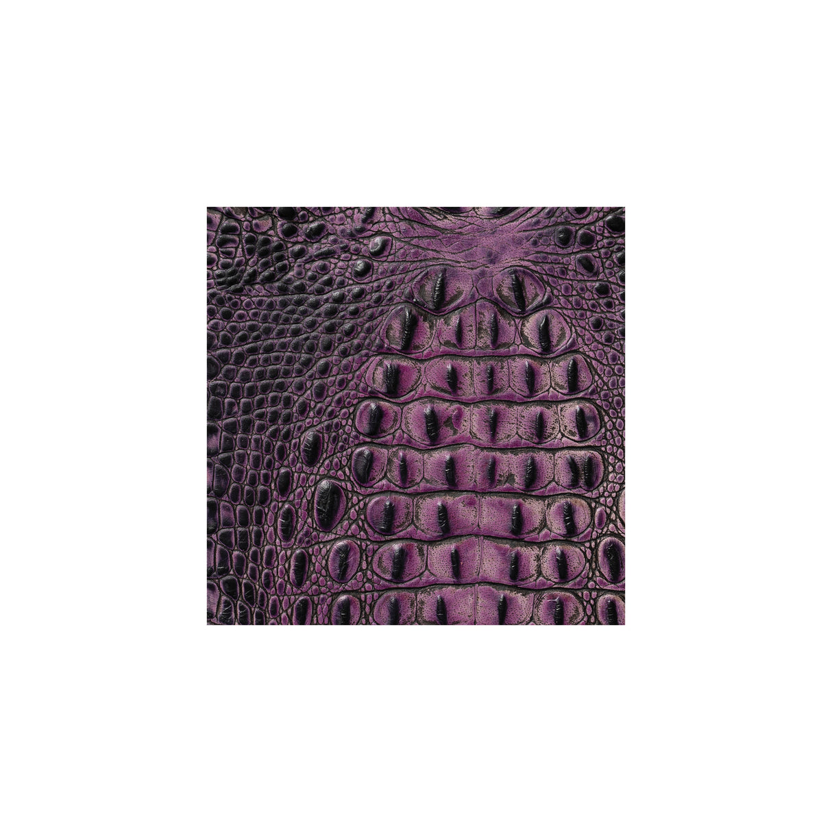 Sample, Embossed Leather, 2/3 oz., Purple Croc
