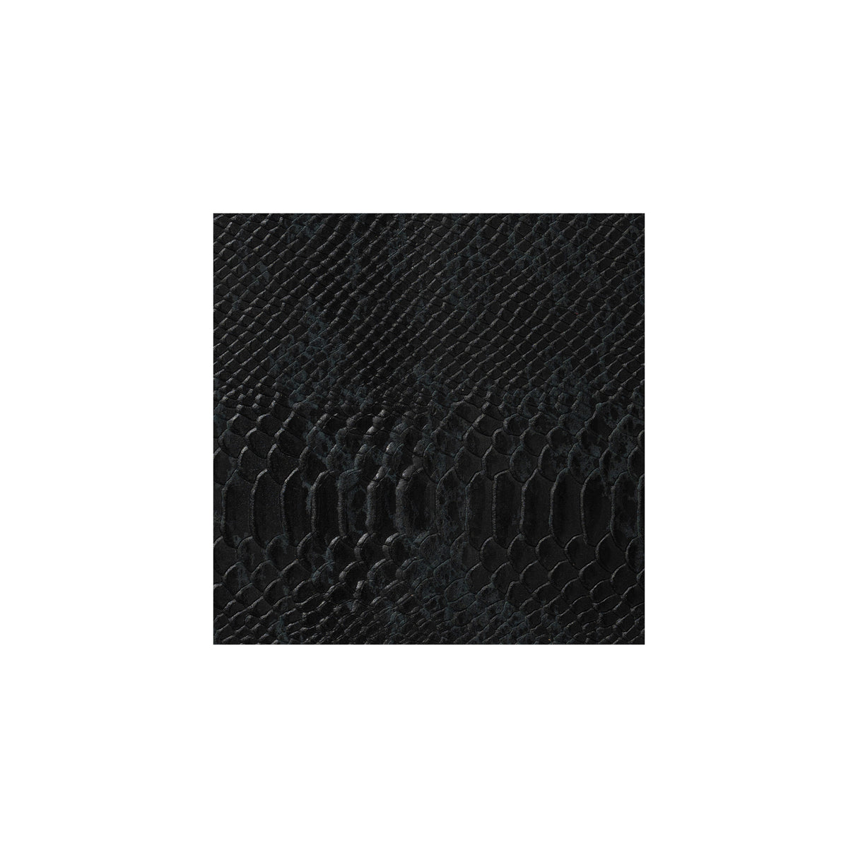 Sample, Exotic Embossed Leather, 3/4 oz.