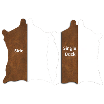Side, Single Back