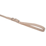 Leather Pet Leash Kit