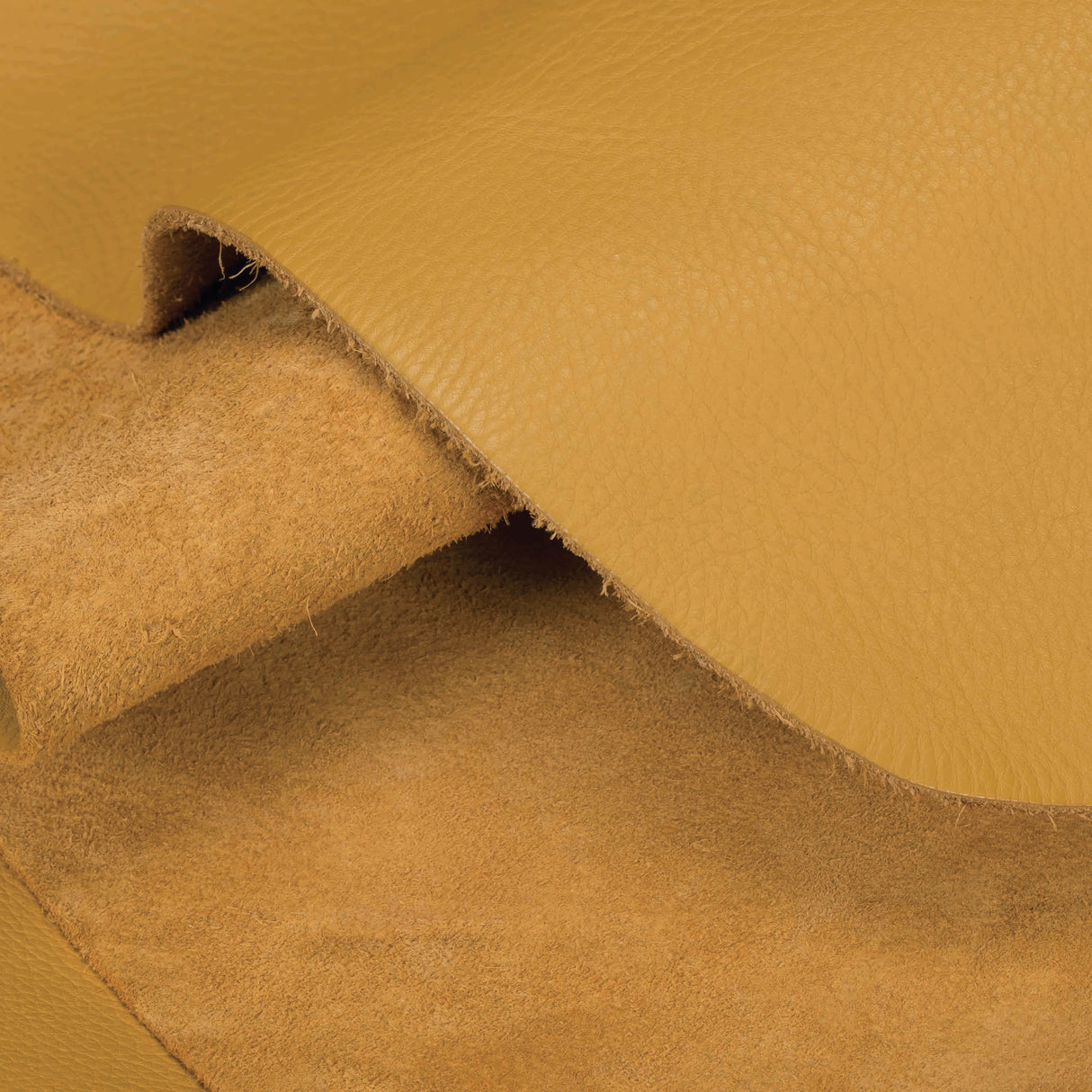 Sample, Chrome Oil Tanned Top Grain Leather, Doetan, 5-6 oz.