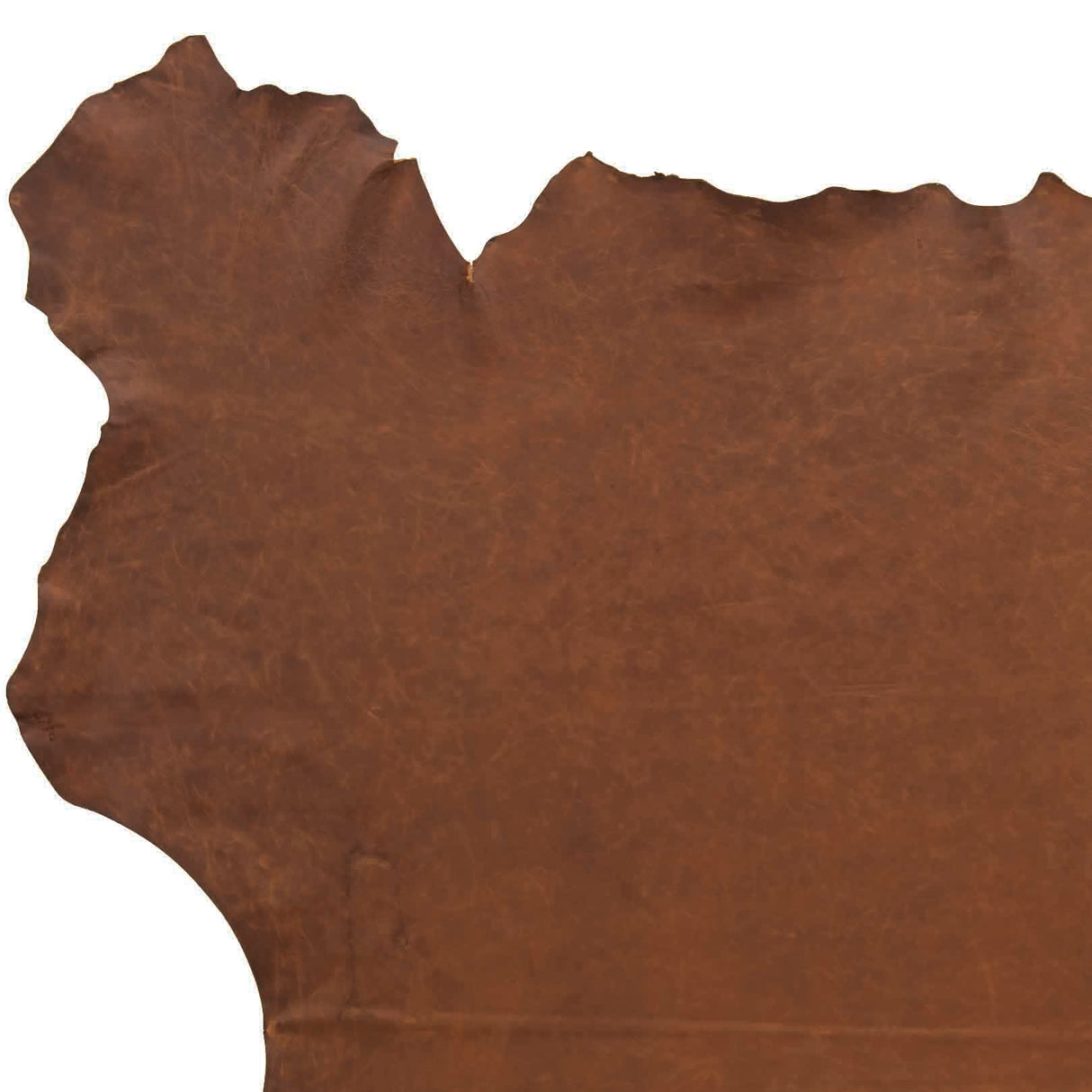 Elkrun Chrome Oil Tanned Leather, Panel & Half Side, 3/4 oz.