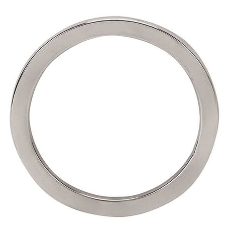 Flat Ring Stainless Steel, 3-1/2"