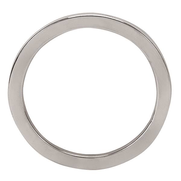 Flat Ring Stainless Steel, 3-1/2"