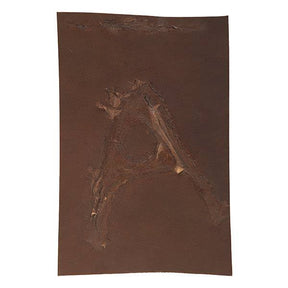 Assorted Branded Leather pieces