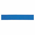 Lightweight Classic Nylon Webbing, 1"