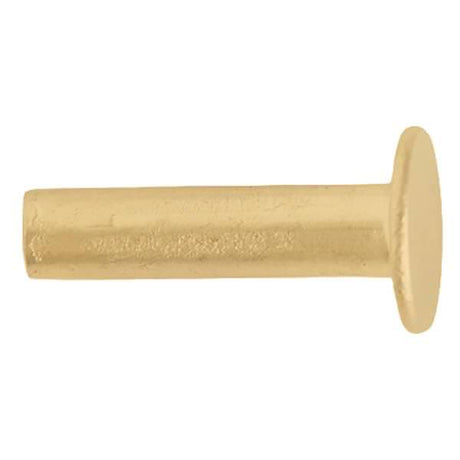 Large Single Cap Rivets Brass Plated pkg of 100 - Leathersmith Designs Inc.
