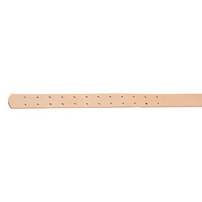 Pre-Punched Stirrup Leathers, Horizontal, 2-1/2" x 5'6"