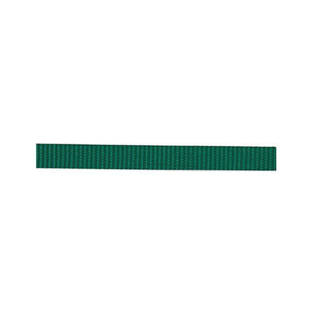Classic Nylon Webbing, 1"