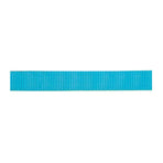 Classic Nylon Webbing, 1"