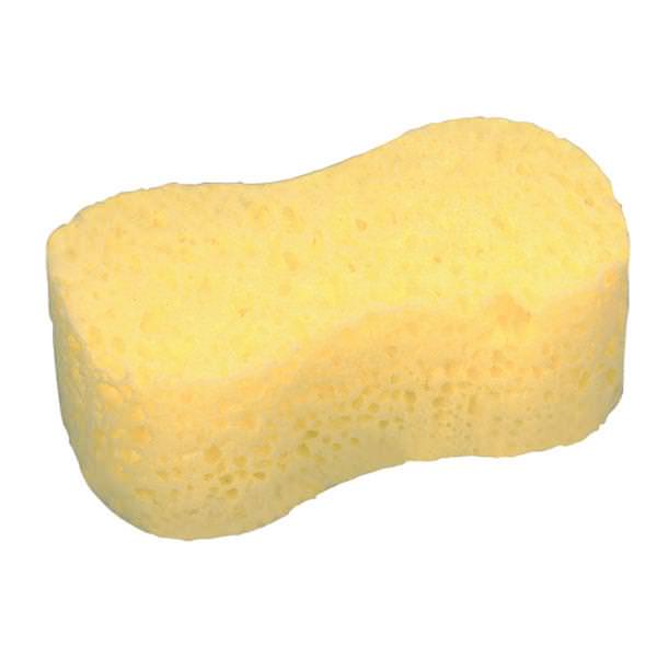 All Purpose Sponge