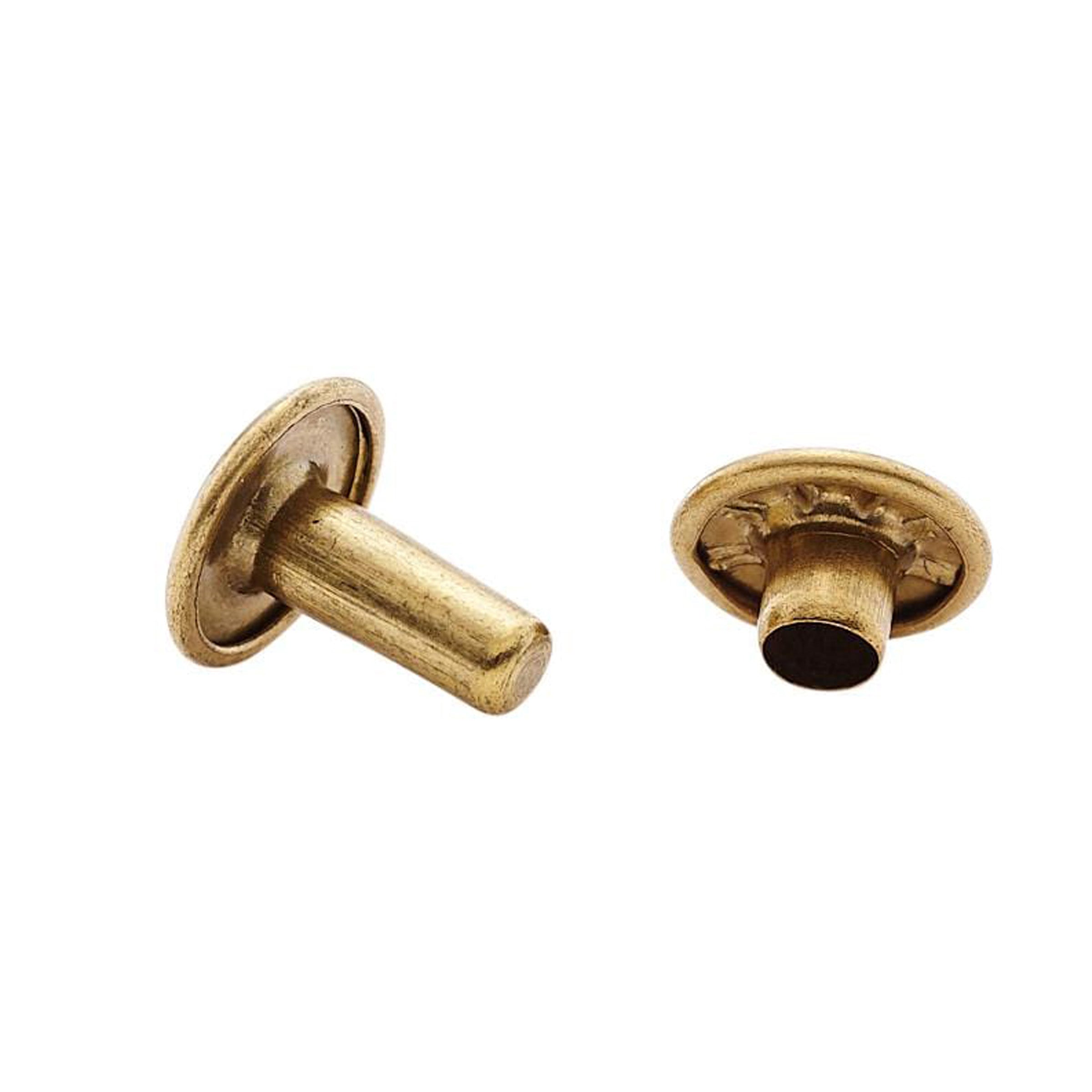 Warwick Coffin エフェクターボード 棺桶型 Gasket Warwick Coffin エフェクターボード 棺桶型 Gasket 楽器・機材