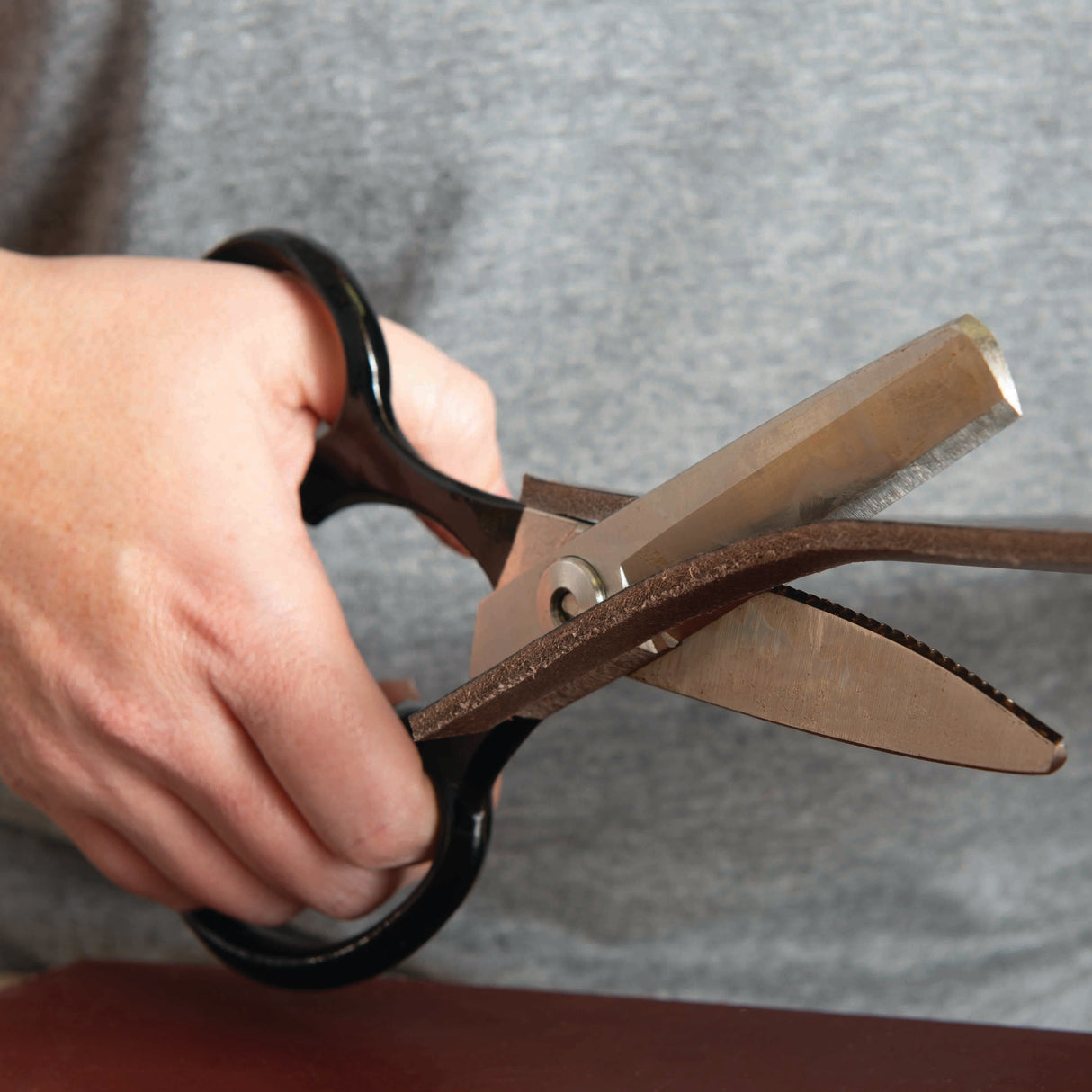Leather Shears, 9"