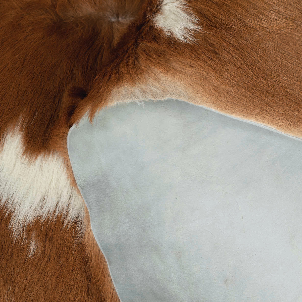 Upholstery Leather - Weaver Leather Supply  Chrome tanning, Furniture upholstery,  Leather